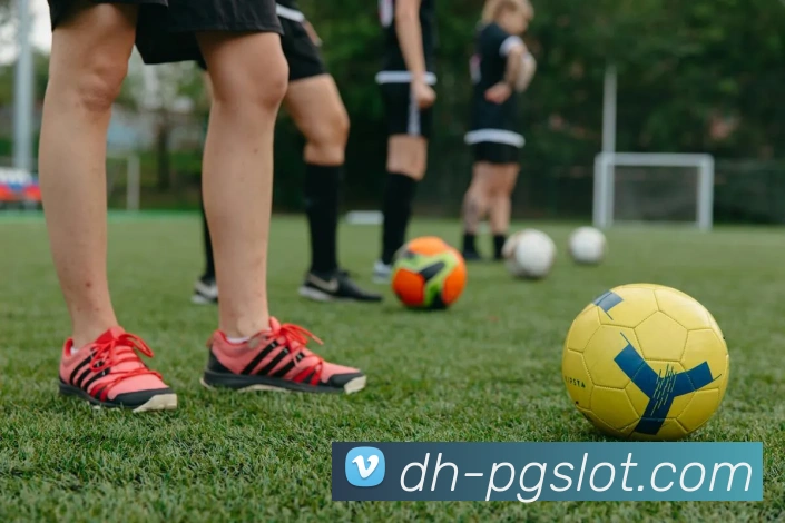 麻将胡了PG官网平台生态图